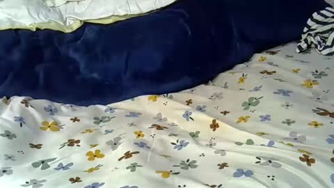 sexy_esther92 online show from February 24, 12:57 pm