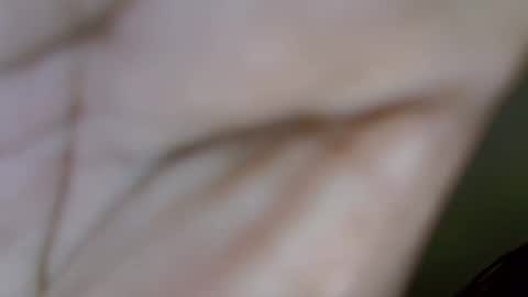 sexybutty1 online show from October 5, 10:53 am