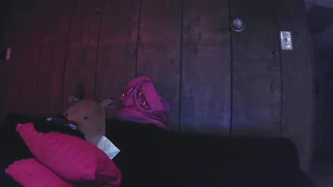 Snapshot of sexystripper69 chatting on December 19, 11:46 pm sexystripper69 online show from December 19, 11:46 pm