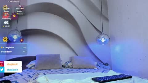 Snapshot of shagiamir chatting on January 16, 5:42 am Shagi online show from January 16, 5:42 am