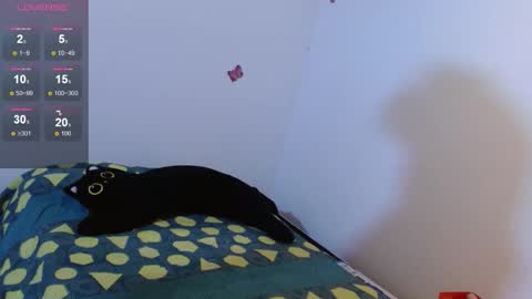 sharamadison online show from October 17, 3:59 pm