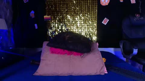 Snapshot of shelsy_loreds chatting on September 19, 12:04 pm Shelsy online show from September 19, 12:04 pm