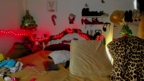 Snapshot of sherahade chatting on December 28, 7:33 pm shera hade online show from December 28, 7:33 pm