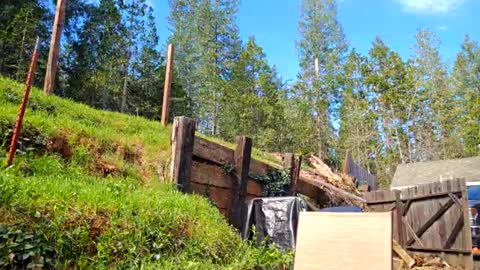 Aurora Wolfe  Shy College Girl  Top 16 of all OF Creators online show from March 6, 6:36 pm