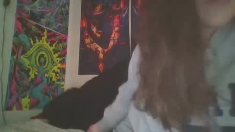 Snapshot of shymilf535 chatting on December 18, 3:47 am RBXs Princess online show from December 18, 3:47 am