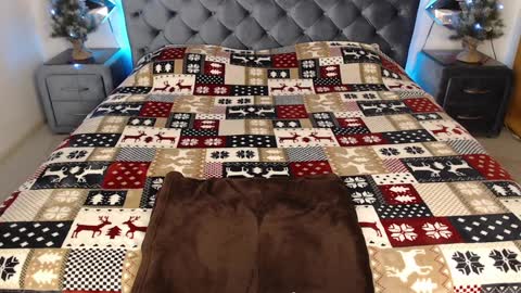 Silvia Poster online show from January 16, 6:46 am