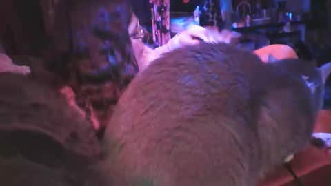 Snapshot of siofra chatting on March 6, 9:25 am Siofra online show from March 6, 9:25 am