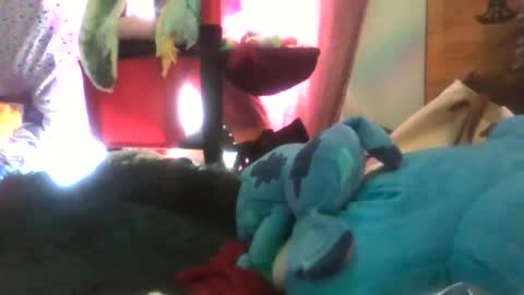 Siofra online show from February 3, 3:28 pm