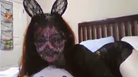 Siren online show from January 25, 3:19 am