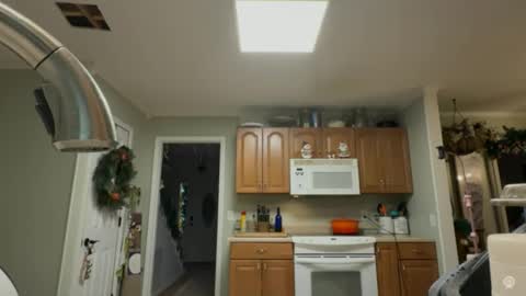 sluttychasity online show from December 23, 2:04 am