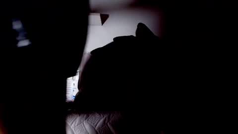 Snapshot of sofi_decker chatting on February 16, 3:05 am Sofia online show from February 16, 3:05 am