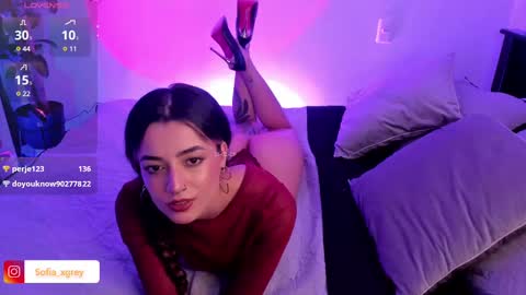 Snapshot of sofia_xgray chatting on February 22, 2:17 am Sofia online show from February 22, 2:17 am