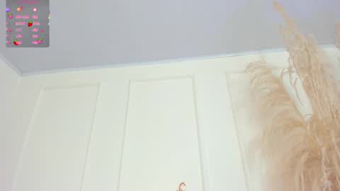 Sol Angel online show from March 11, 12:06 pm