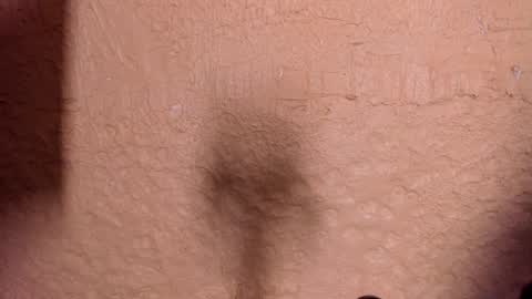 sophi_cooper29 online show from December 22, 11:41 pm