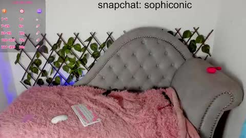Snapshot of sophiconic_cb chatting on February 7, 3:02 am Clara sophia online show from February 7, 3:02 am