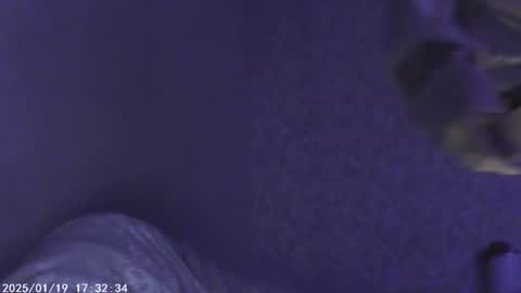 Snapshot of sophiesuvi chatting on January 18, 7:15 pm Sophie and my bestie Mandy online show from January 18, 7:15 pm