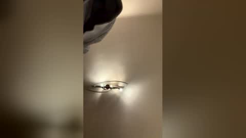 SophiaStar online show from January 7, 8:34 pm