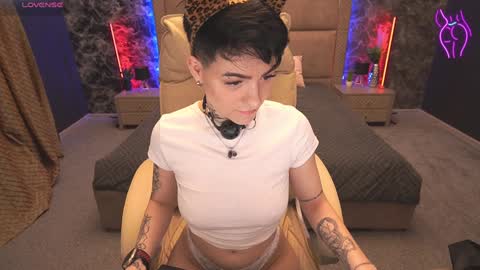 Sophiya online show from January 12, 7:00 am