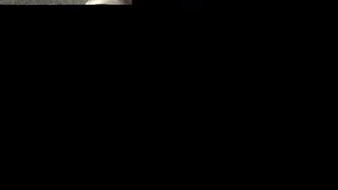 Sammi online show from December 11, 1:58 am