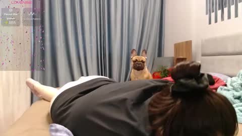 STACY online show from February 9, 9:05 am