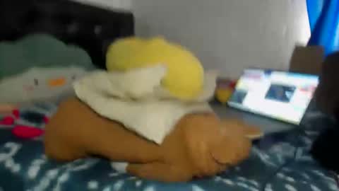 Star online show from October 8, 7:07 pm