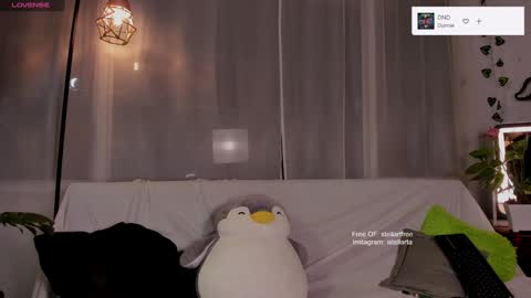 stellart_ online show from December 31, 2:51 am