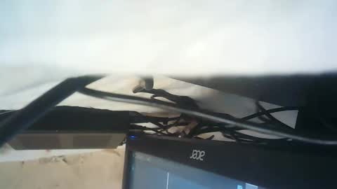 strangerdanger_2 online show from January 9, 11:36 am