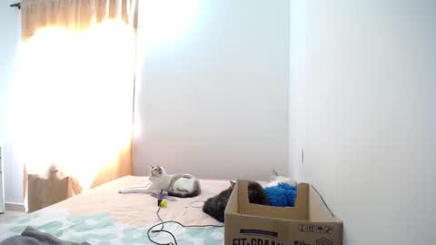 Snapshot of susanaduncann chatting on January 23, 4:59 pm Susana online show from January 23, 4:59 pm