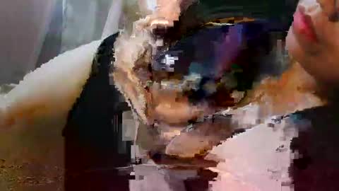 XIA online show from April 1, 2:56 am