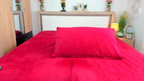 Viorica online show from November 26, 7:31 am