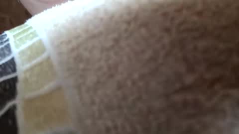 sweetbun97 online show from September 17, 10:02 am