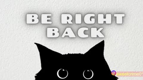       Independent model online show from October 29, 5:56 am