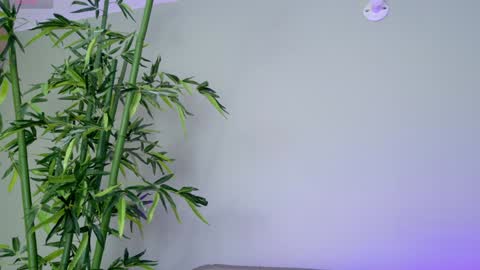 Snapshot of sweett_petite chatting on January 26, 4:30 pm online show from January 26, 4:30 pm