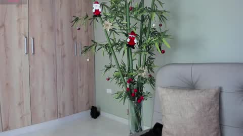 Snapshot of sweett_petite chatting on December 6, 4:06 pm online show from December 6, 4:06 pm