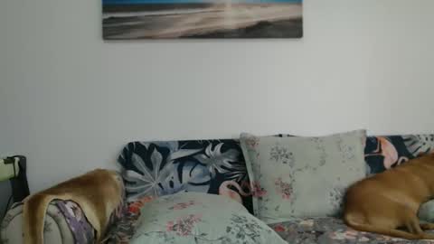 Sweety Cat online show from September 28, 1:27 pm