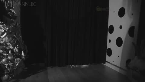 TAANNI online show from February 1, 7:57 am