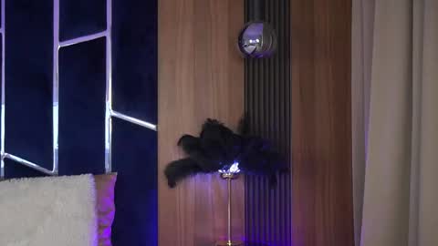 TaliaLure online show from October 26, 8:43 am