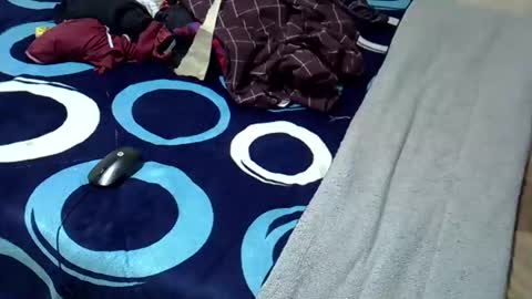 tastie_t online show from November 1, 6:06 am