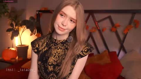 TataCoy online show from November 11, 11:51 am