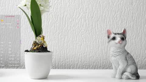 Sane online show from October 24, 10:55 am