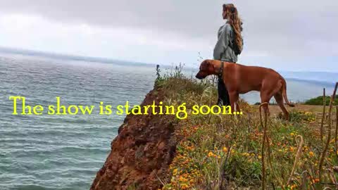 TATUM  ALL MY LINKS  online show from November 18, 10:00 pm