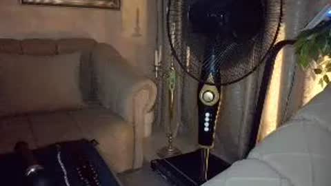 talia i m  french girl online show from June 25, 10:33 pm