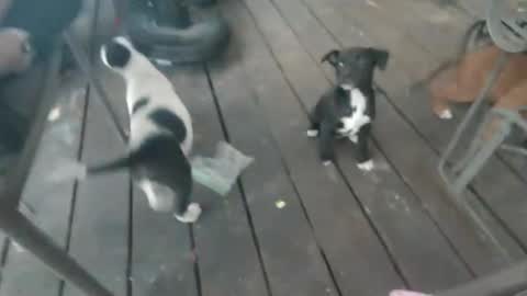 TEXASGIRLLLL online show from January 30, 2:47 pm