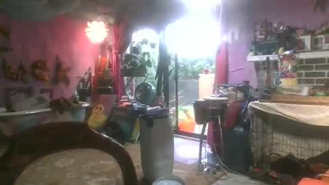 TheCannibalSalt online show from November 17, 5:57 pm