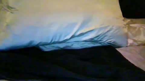 Snapshot of thepeachprincess chatting on January 6, 3:09 am the peach princess online show from January 6, 3:09 am