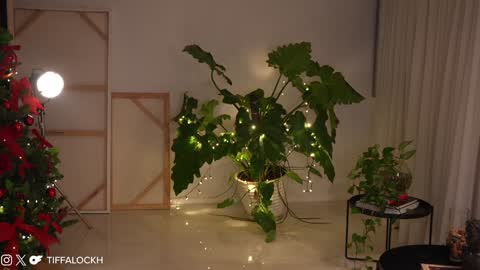 Snapshot of tifalock_ chatting on December 14, 9:13 pm Tifa online show from December 14, 9:13 pm