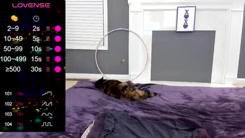 V - Read the bio please thanks. online show from January 13, 1:00 am