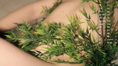 Toshi online show from March 15, 1:02 pm