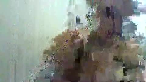 Ttrnynela online show from January 16, 6:46 am