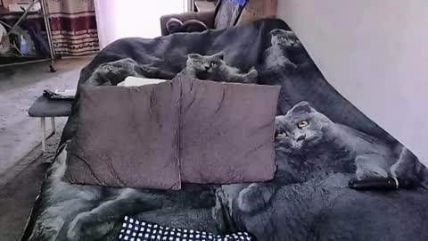 Snapshot of tviks chatting on September 30, 3:01 am Lana online show from September 30, 3:01 am